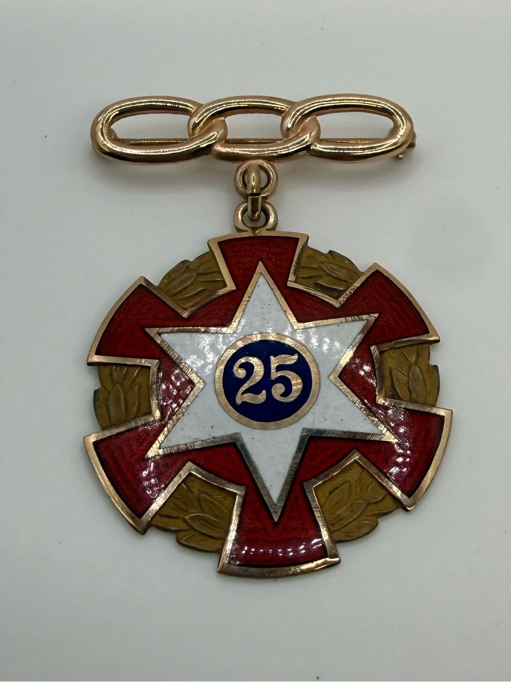 Antique IOOF Odd Fellows 25 Year Service Medal Enamel Oregon Fraternal Pin